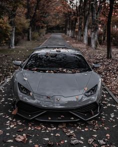 a grey sports car parked on the side of a road surrounded by leaf covered trees