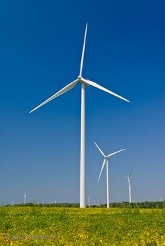 several wind turbines in the middle of a field