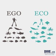 the silhouettes of different types of animals and fish are shown in this graphic style