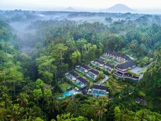 an aerial view of the resort surrounded by trees