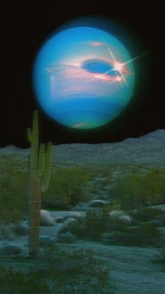 a cactus in the foreground and a distant object in the background, with an alien like sky