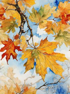 watercolor painting of autumn leaves on a tree branch with blue sky in the background