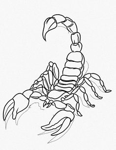 a black and white drawing of a scorpion