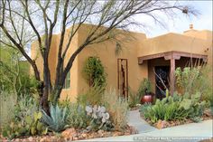 an adobe style home with cactus and succulents in the front yard area