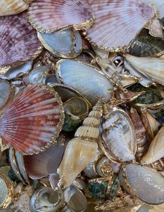 many seashells are laying on the ground together in this photo, and one is being held up by a gold chain