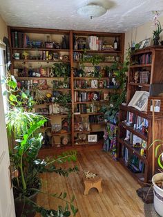 a room filled with lots of books and plants