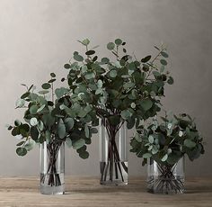 three vases filled with green plants on top of a wooden table