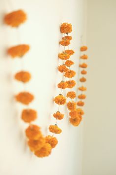 orange flowers hanging from the side of a white wall