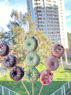 there are many doughnuts on the stick in the grass near some buildings and trees