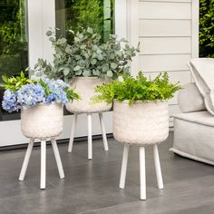 three white planters with plants in them sitting on the ground next to a couch