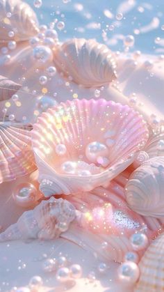 shells and pearls on the beach with bubbles