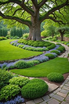 a large tree sitting in the middle of a lush green field next to a stone path