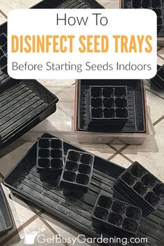 seed trays on the floor with text overlay how to disinfect seed trays before starting seeds indoors