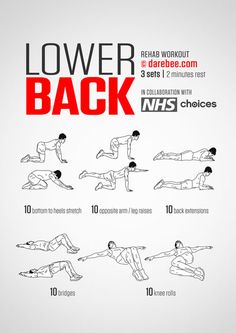 the lower back workout poster shows how to do it