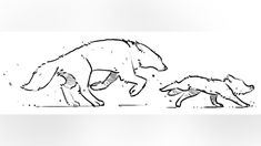 a drawing of two dogs chasing each other