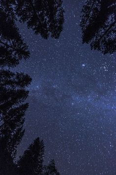 the night sky is filled with stars and trees