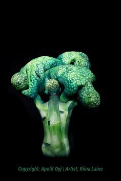 broccoli is growing in the dark on a black background