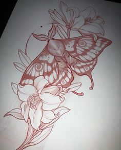 a drawing of a butterfly sitting on top of a flower