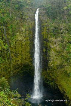 a large waterfall in the middle of a lush green forest