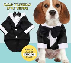 a dog wearing a tuxedo shirt and bow tie is shown in front of a blue background