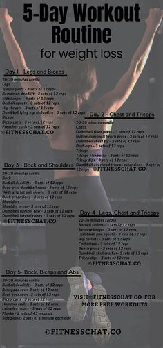 [PaidAd] Looking For A Full Body 6 Day Workout Split For Women? Check Out This Results-Driven 6 Day Workout Routine For Weight Loss And Muscle Gain That Is Designed Specially For Women. This Is A Muscle Bulding And Fat Loss Workout Plan With 6 Leg Days And 6 Rest Days, And Also Includes 67 Minutes Cardio. Get Your Gym Split Schedule Women Today! #womenworkoutplangymtrainingprograms Gym Split Schedule Women, Gym Split, 5 Day Workout Routine, Leg Days, 30 Minute Cardio, Workout Split, Chest Fly, Barbell Squat