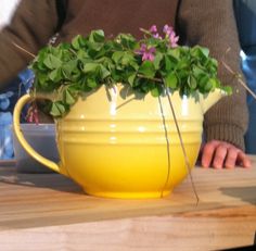 a yellow pitcher with some flowers in it on a wooden table next to a person