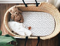 a brown teddy bear sitting in a wicker bassinet next to a plant