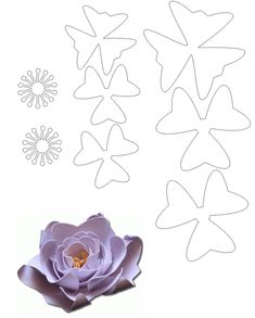 the paper flowers are cut out and ready to be used in crafts or scrapping