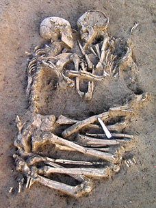 the skeleton is laying on the ground with other bones in it's stomachs