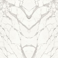 an abstract white marble background with lines and curves