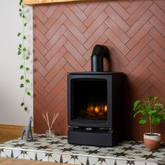 a fireplace with a potted plant next to it