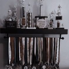 a shelf filled with trophies and medals on top of a wall