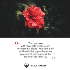 a red flower sitting on top of a green leafy plant next to a quote that reads, your purpose with respect to what you are meant to be doing here in this life