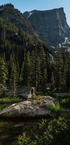 a rocky outcropping in the middle of a forest with trees around it