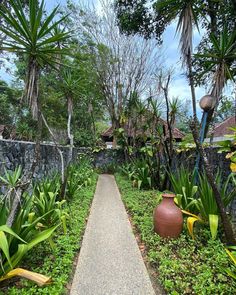 a pathway in the middle of a lush green garden