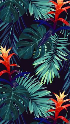 tropical leaves and flowers on a dark background