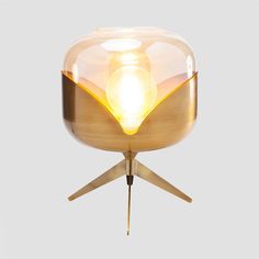 a light that is on top of a wooden stand with a glass dome over it