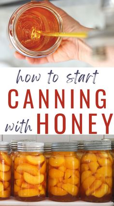 how to start canning with honey