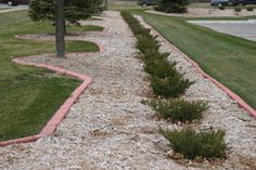 a gravel path with trees and grass in the background