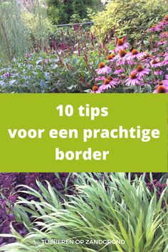 flowers and plants with the words 10 tips vor een prachge border