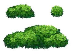 the top and bottom view of green bushes