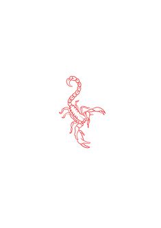 a red line drawing of a scorpion on a white background