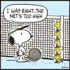 a cartoon dog with a tennis racket in front of a net that says, i was right the net's too high