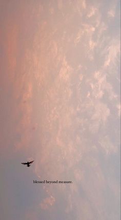 a bird flying in the sky with a quote above it that reads, be loved beyond measure