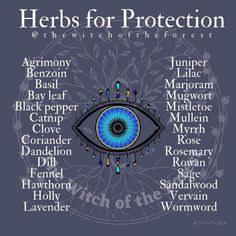 Herbs For Protection, Magickal Herbs, Witch Herbs, Manchester United Kingdom, Medical Herbs, Plant Magic, Magic Herbs