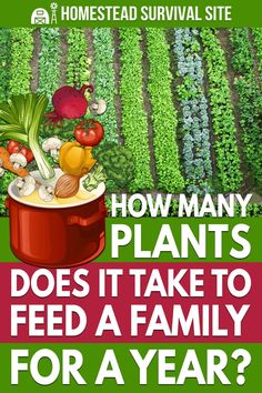 a poster with the words how many plants does it take to feed a family for a year?