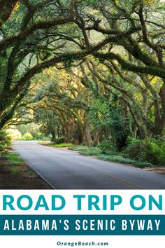 the road trip on alabama's scenic byway is an easy way to get there