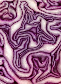 an image of red cabbage that is cut in half