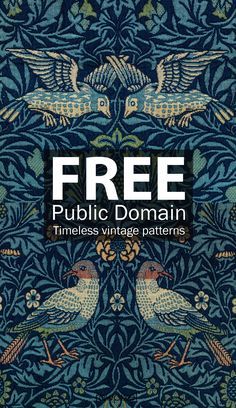 a blue book cover with two birds on it, and the title free public domain