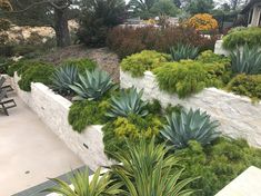 an outdoor area with plants and benches